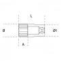 Steckschlüssel langen beta - 920al-19 - angriff von 1/2", 920AL19, BETA AN